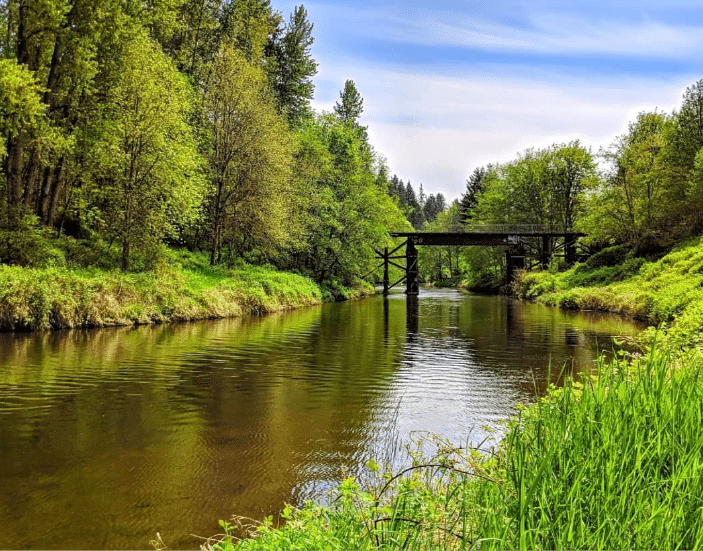 Blyth Park and Tolt Pipeline Trail - Begin at Bothell