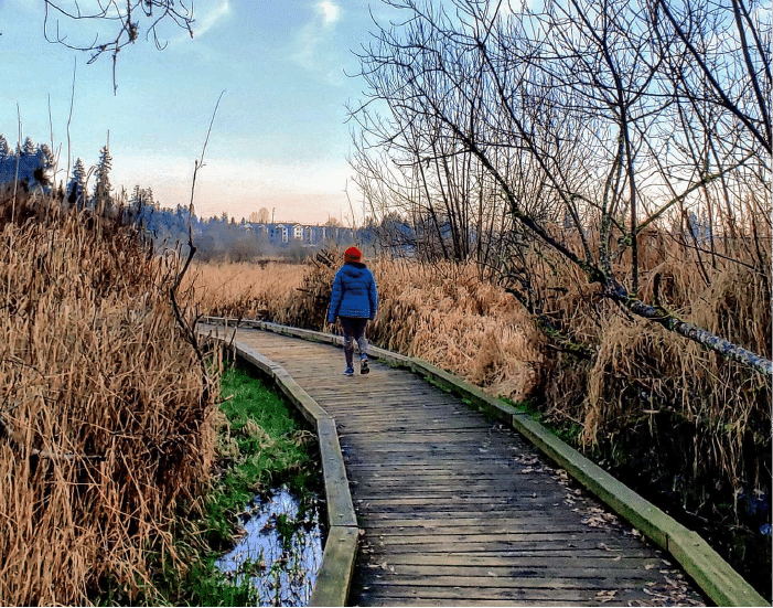 North Creek Trail