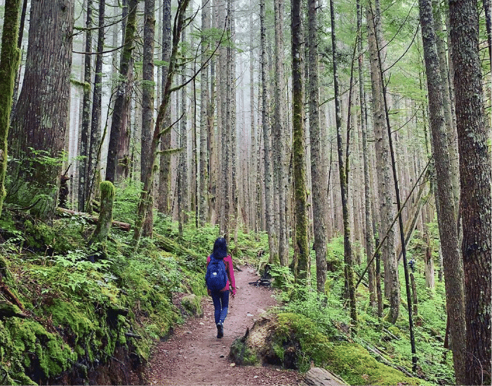 Wallace Falls and Wallace Lake Loop