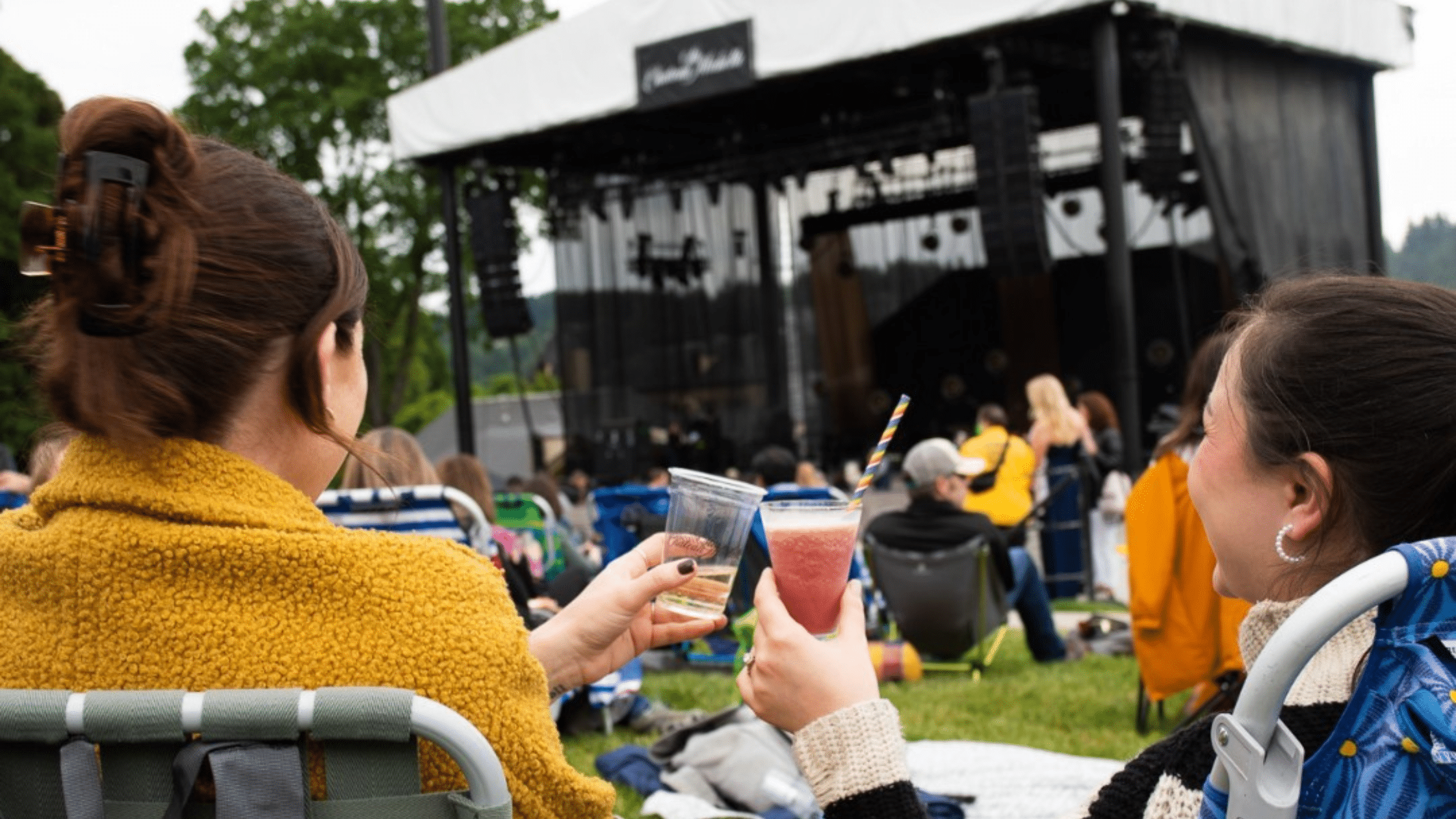 Two people at Chateau Ste Michelle Summer Concert Series. They're facing a stage and cheersing two drinks.