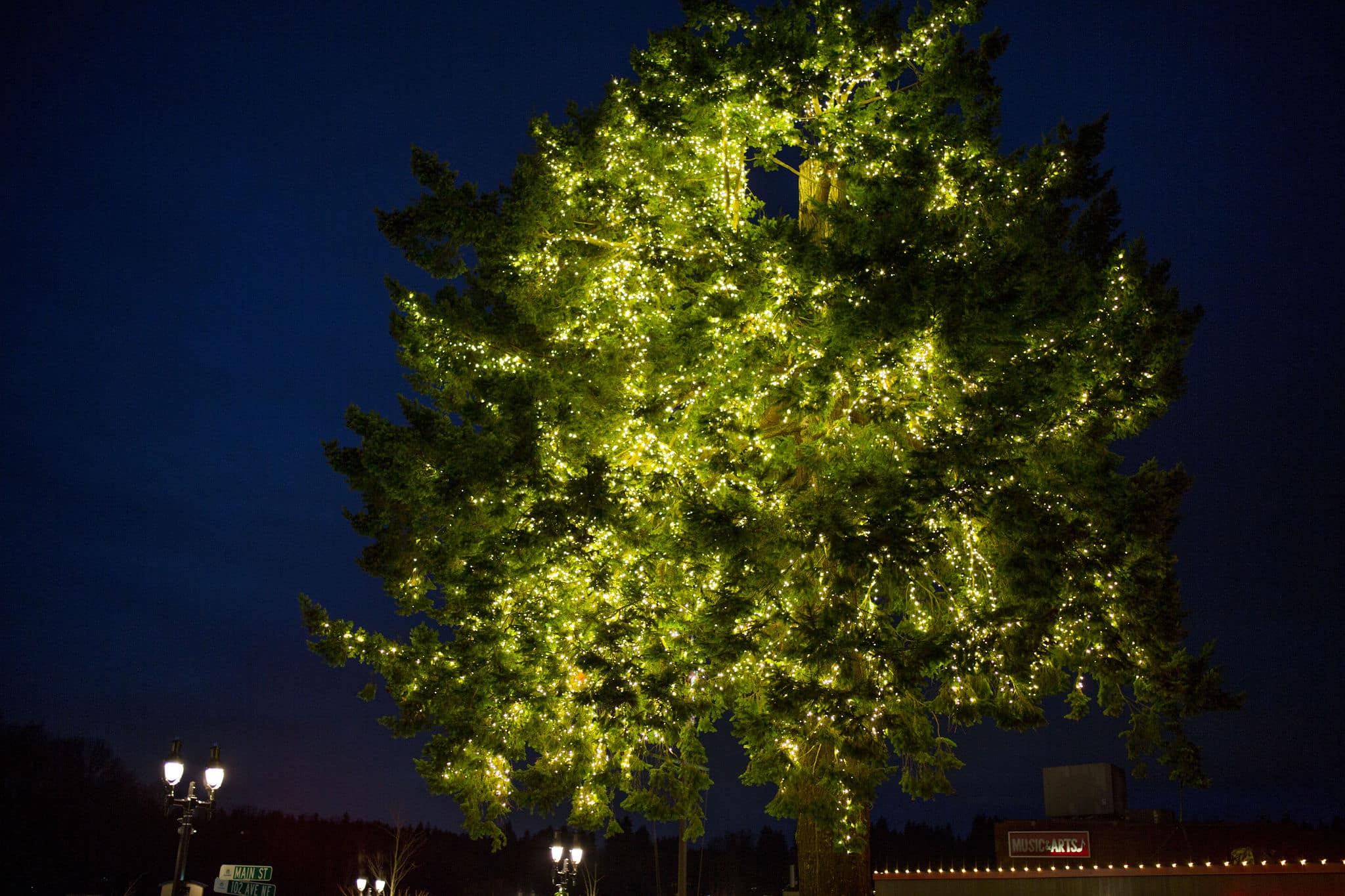 Bothell tree lighting festival in Bothell, WA